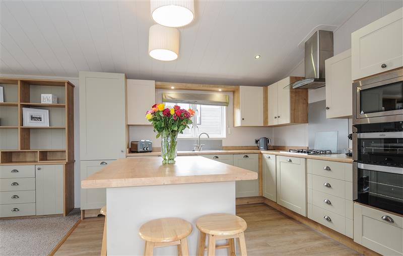 This is the kitchen at 2 Bed Lodge (Plot 65), Brixham