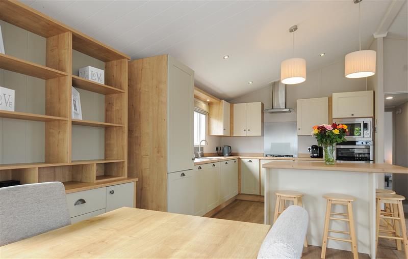 This is the kitchen at 2 Bed Lodge (Plot 66), Brixham