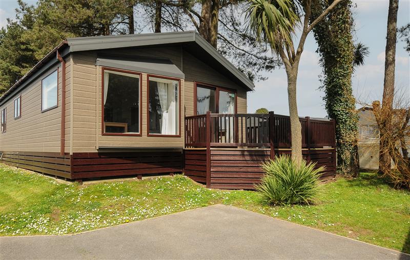 The garden in 2 Bed  Lodge Plot B015 with Pets at 2 Bed  Lodge Plot B015 with Pets, Brixham