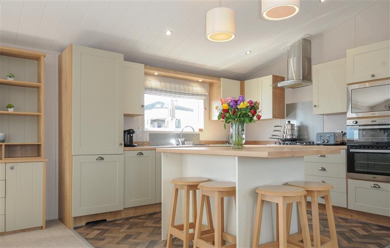 This is the kitchen at 2 Bed  Lodge Plot B015 with Pets, Brixham