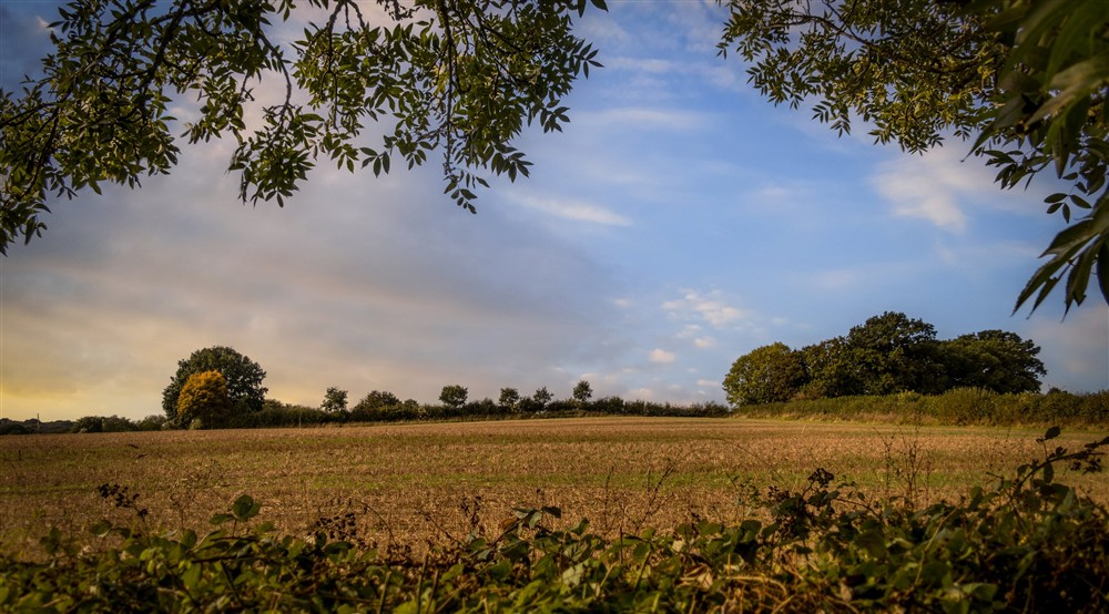 The surrounding area of 2 Bettenham, Kent (photo 3) at 2 Bettenham Cottages in Biddenden, Kent