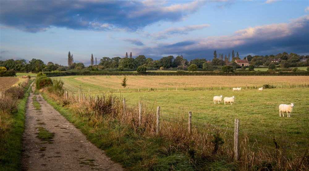 The surrounding area of 2 Bettenham, Kent at 2 Bettenham Cottages in Biddenden, Kent