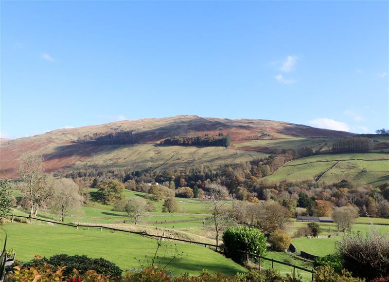 Rural landscape