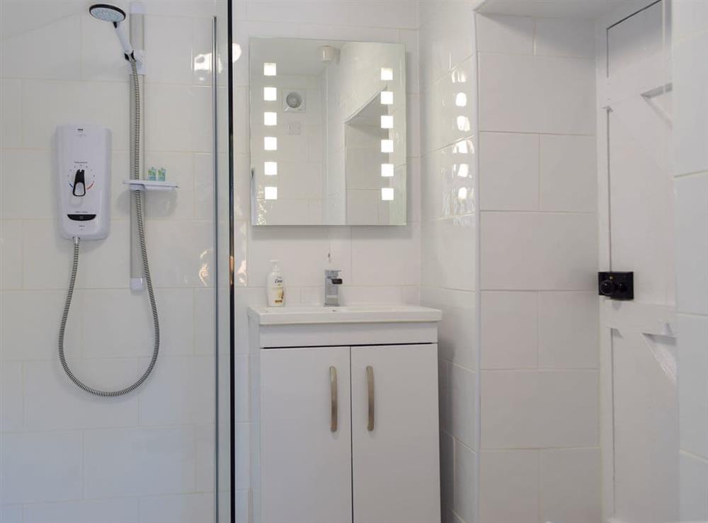 Shower room at 2 Cilwendeg Lodge in Newchapel, near Boncath, Dyfed