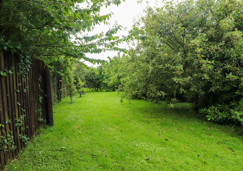Enjoy the garden at 2 Llainwen, Pencarnisiog near Rhosneigr