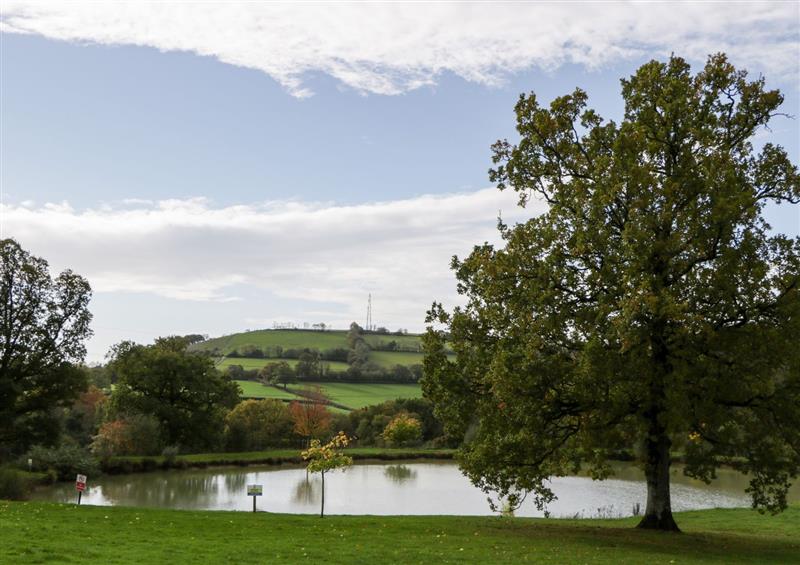Rural landscape (photo 3) at 2 Oak Park, Shillingford near Bampton