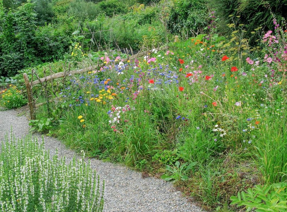 Garden planted with wild flowers in a naturalistic style at 2 Penrhiw in Abercych, near Newcastle Emlyn, Dyfed