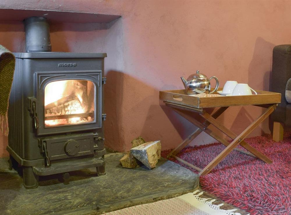 Warming wood burner within living room at 2 Penrhiw in Abercych, near Newcastle Emlyn, Dyfed