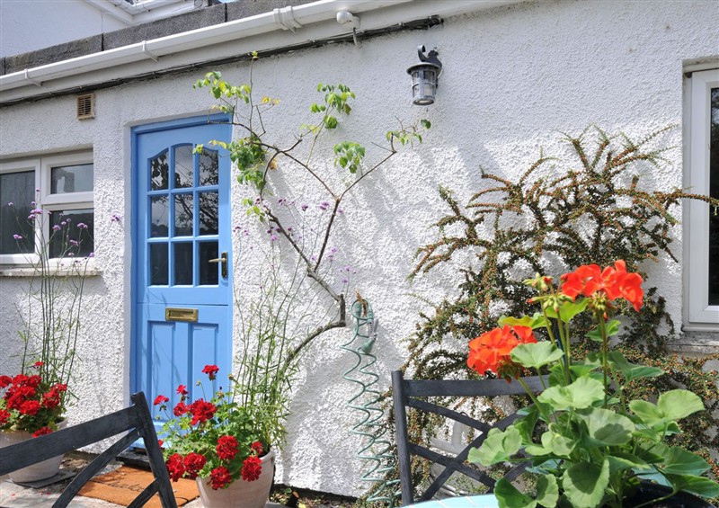 The garden in 2 Porthilly Cottages at 2 Porthilly Cottages, Rock