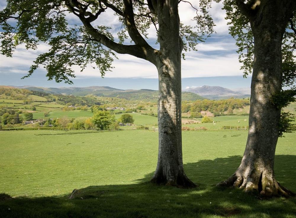 Views from 2 Siloam Cottage