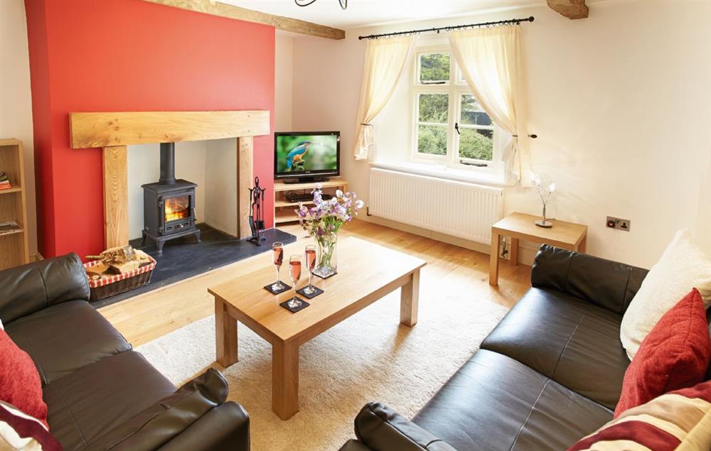 Comfortable sitting room with wood burning stove at 2 The Oaks, Hoarwithy