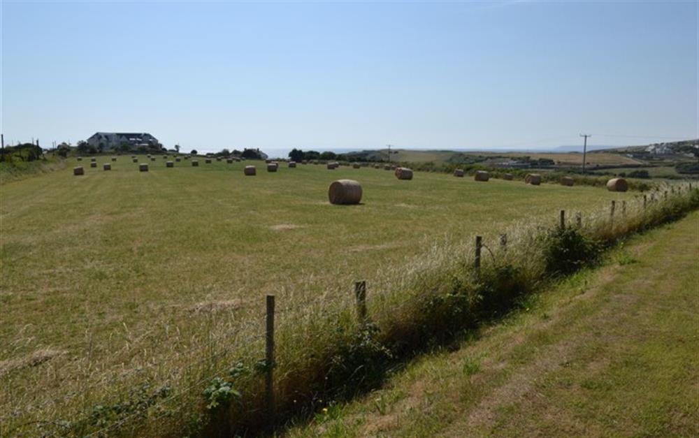 The view from the garden across the fields and out to sea at 2 Thurlestone Beach Apartments in Thurlestone