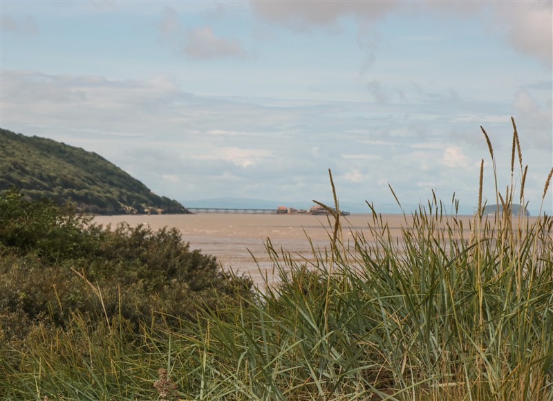 The setting