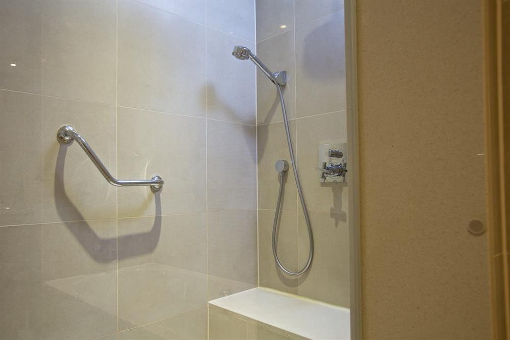 The en suite has a shower with access ramp and grab handle at 20 Dart Marina in , Dart Marina