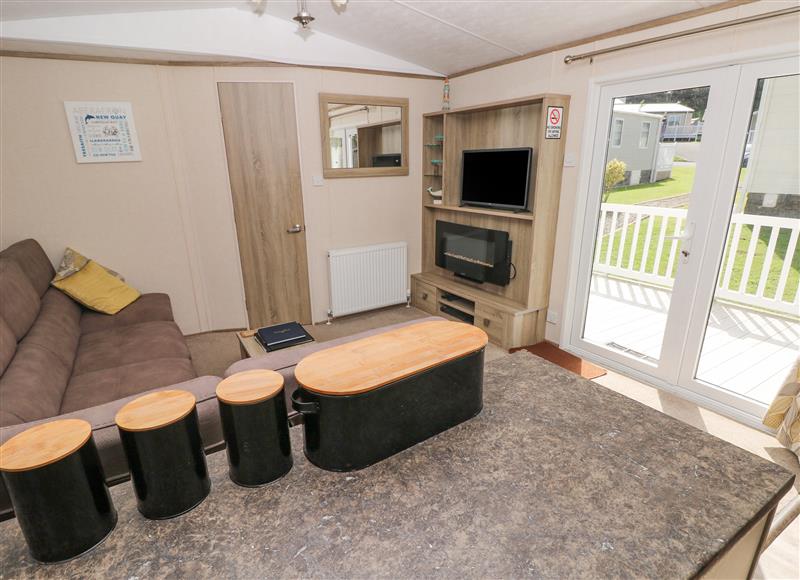 The living area (photo 2) at 20 Woodpecker Lodge, Gilfachrheda near Llanarth