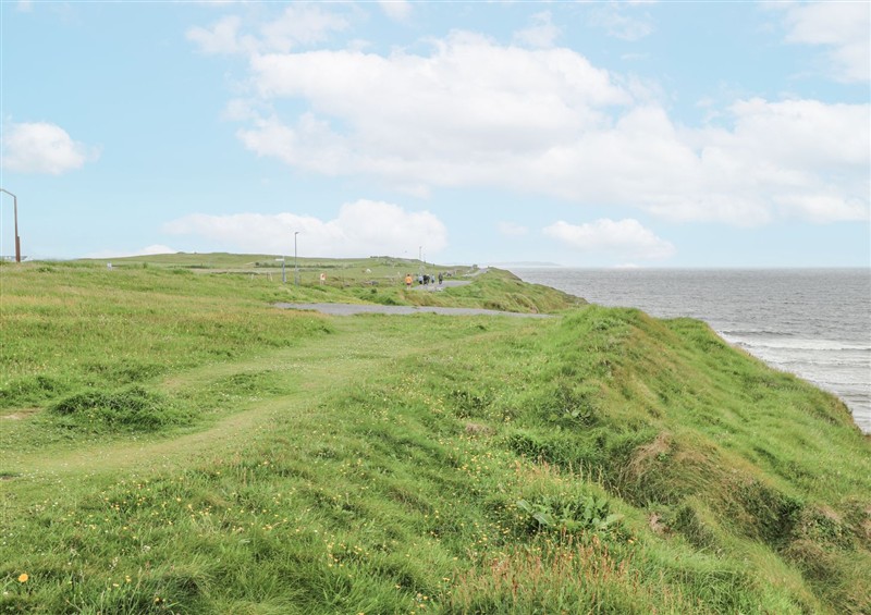 This is the garden at 22 White Maples, Bundoran