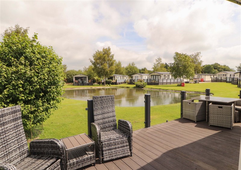 The garden at 22 Yealand, Carnforth