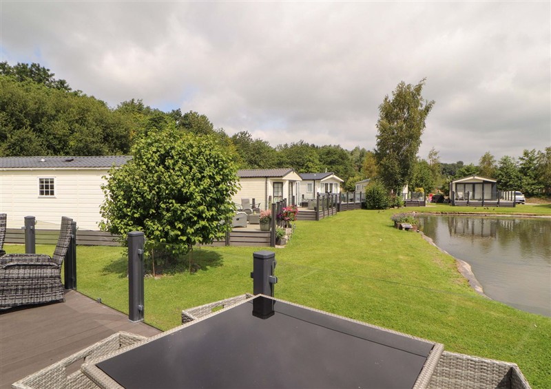 This is the garden at 22 Yealand, Carnforth