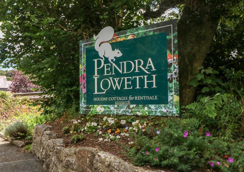 The garden in 24 Pendra Loweth at 24 Pendra Loweth, Falmouth