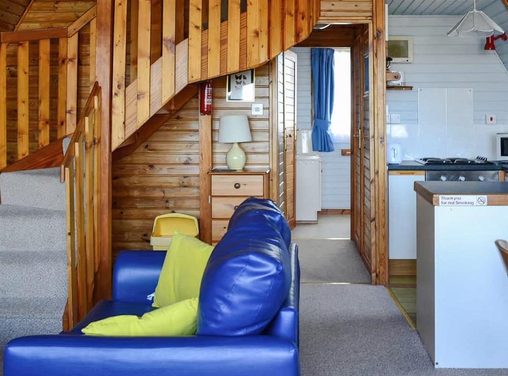 Open plan living space (photo 3) at 26 Pine Lodge in Pwllheli, Gwynedd