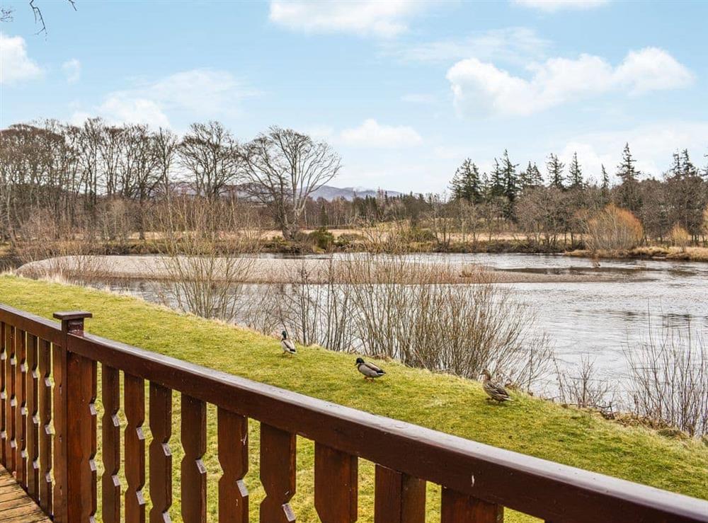 Surrounding area at 27 Aviemore Holiday Park in Aviemore, Inverness-Shire