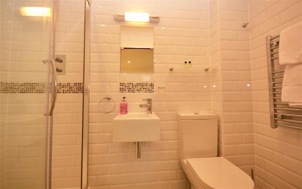 The master bedroom en-suite shower room at 27 Talland in Talland Bay