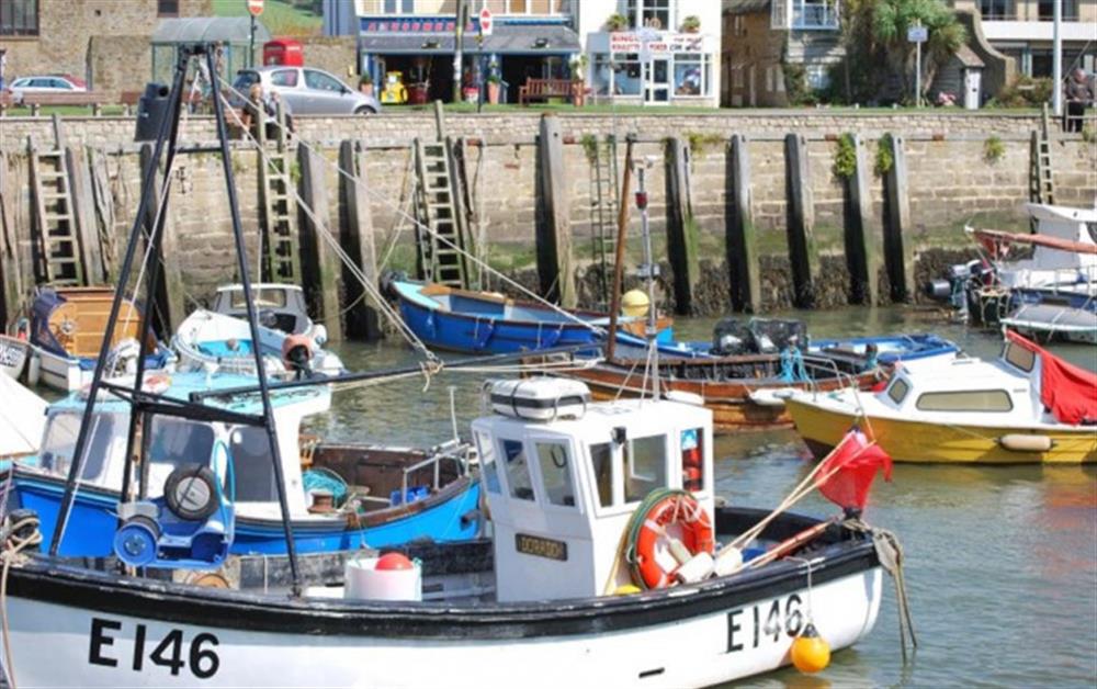 West Bay Harbour - just over a mile away by riverbank footpath at 3 Allington Square in Bridport