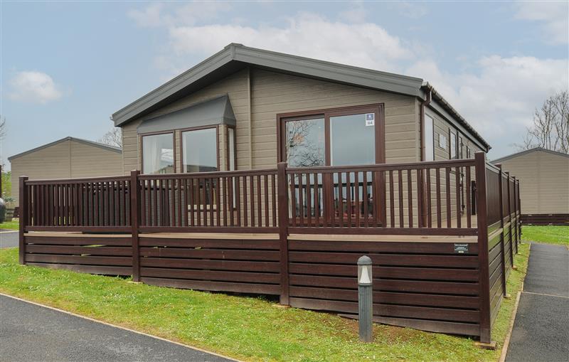 The garden in 3 Bed Lodge (Plot 64) at 3 Bed Lodge (Plot 64), Brixham