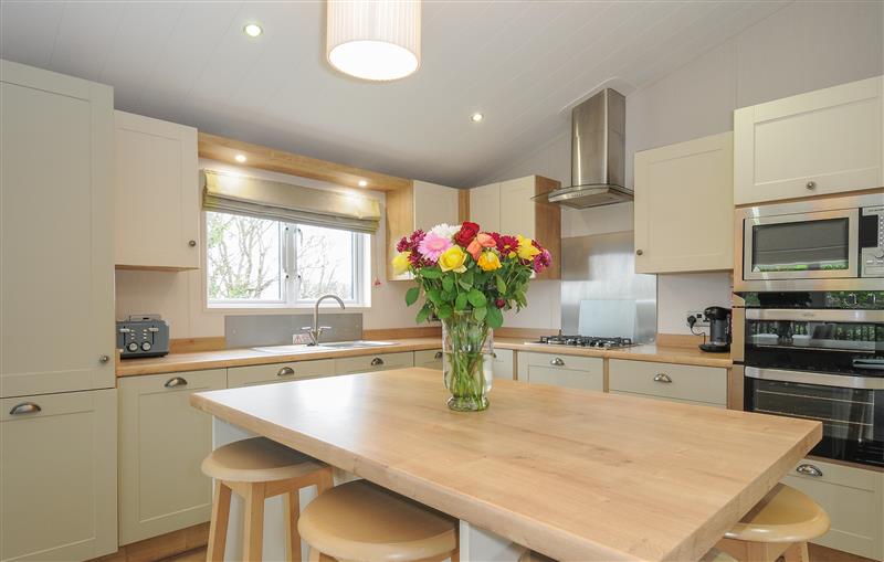 This is the kitchen (photo 2) at 3 Bed Lodge (Plot 64), Brixham