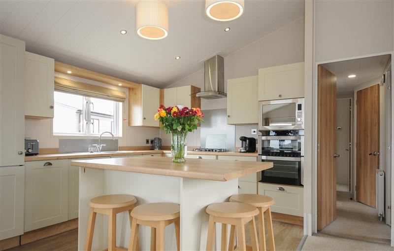 This is the kitchen at 3 Bed Lodge (Plot 64), Brixham