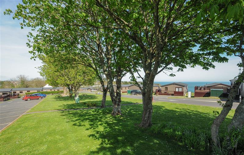 Enjoy the garden at 3 Bed Lodge (Plot 68), Brixham