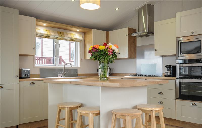 The kitchen at 3 Bed Lodge (Plot 68), Brixham