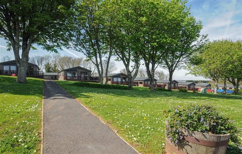 This is the garden at 3 Bed Lodge (Plot 68), Brixham