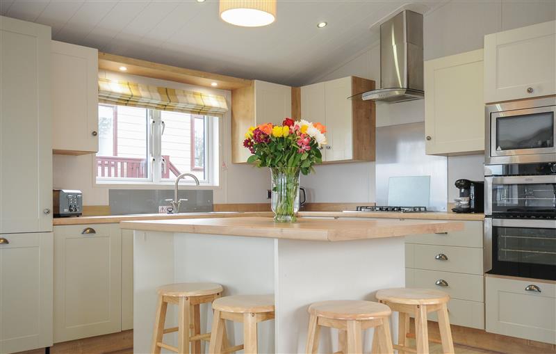 Kitchen (photo 2) at 3 Bed Lodge (Plot 69), Brixham