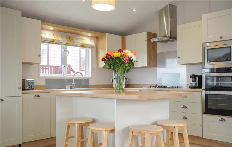 This is the kitchen (photo 2) at 3 Bed Lodge (Plot 70), Brixham
