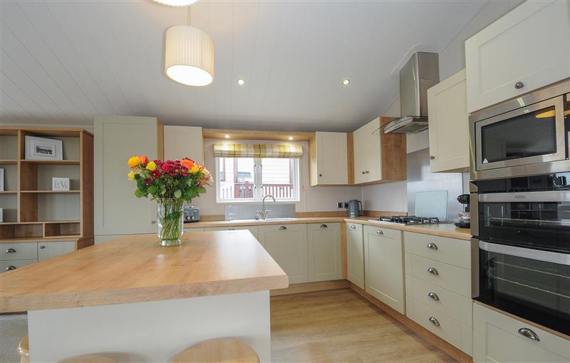 The kitchen at 3 Bed Lodge (Plot 72 with pets), Brixham