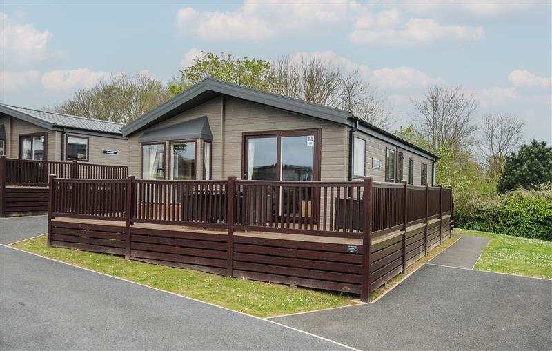 The setting of 3 Bed Lodge (Plot 72 with pets)
