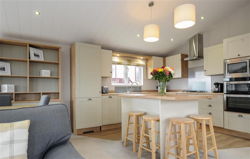 This is the kitchen at 3 Bed Lodge (Plot 72 with pets), Brixham