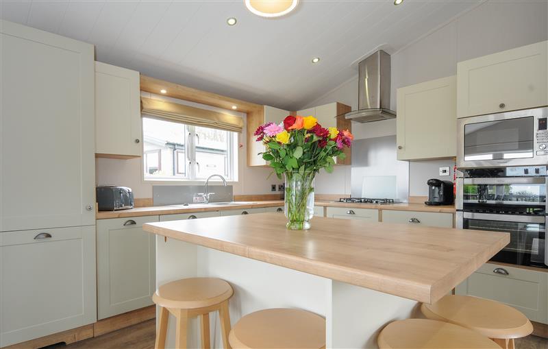 Kitchen at 3 Bed Lodge (Plot 73 with Pets), Brixham