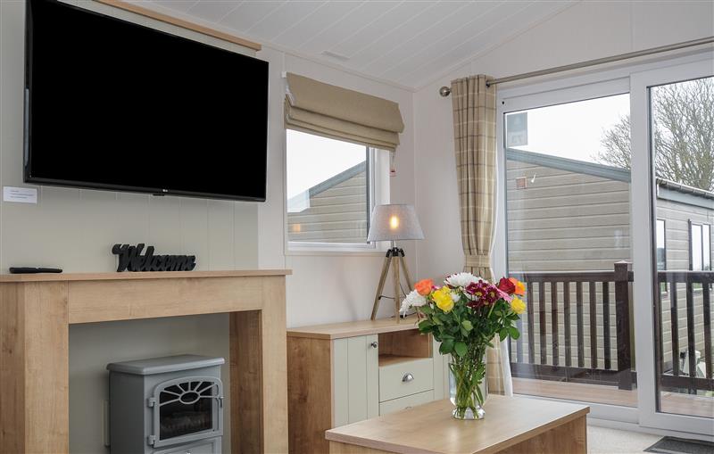 The living room at 3 Bed Lodge (Plot 73 with Pets), Brixham