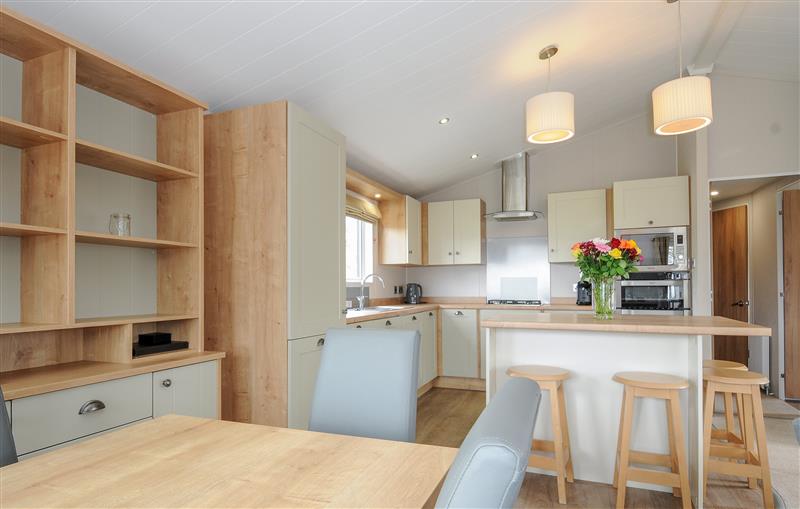 This is the kitchen at 3 Bed Lodge (Plot 73 with Pets), Brixham