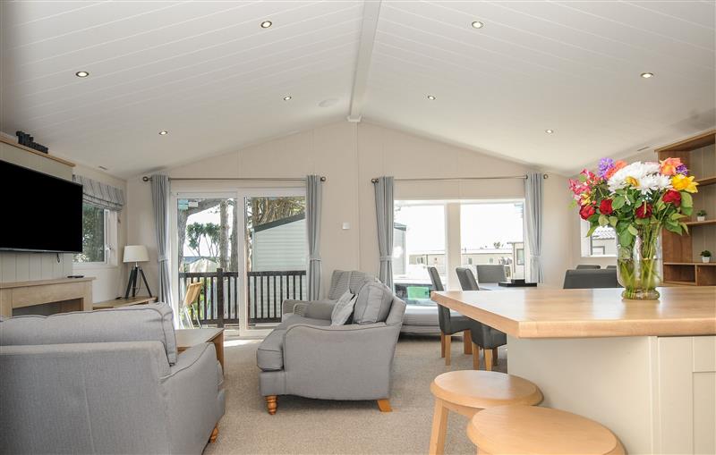 Enjoy the living room at 3 bed lodge Plot B011, Brixham