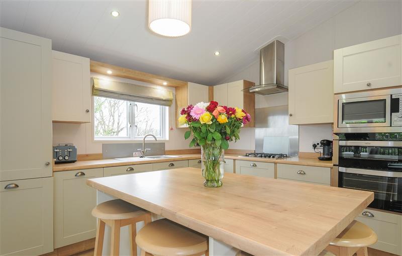 This is the kitchen at 3 bed lodge Plot B011, Brixham