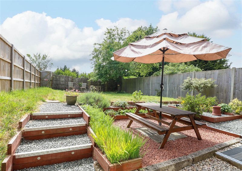 Enjoy the garden at 3 Birkbeck Way, Norwich