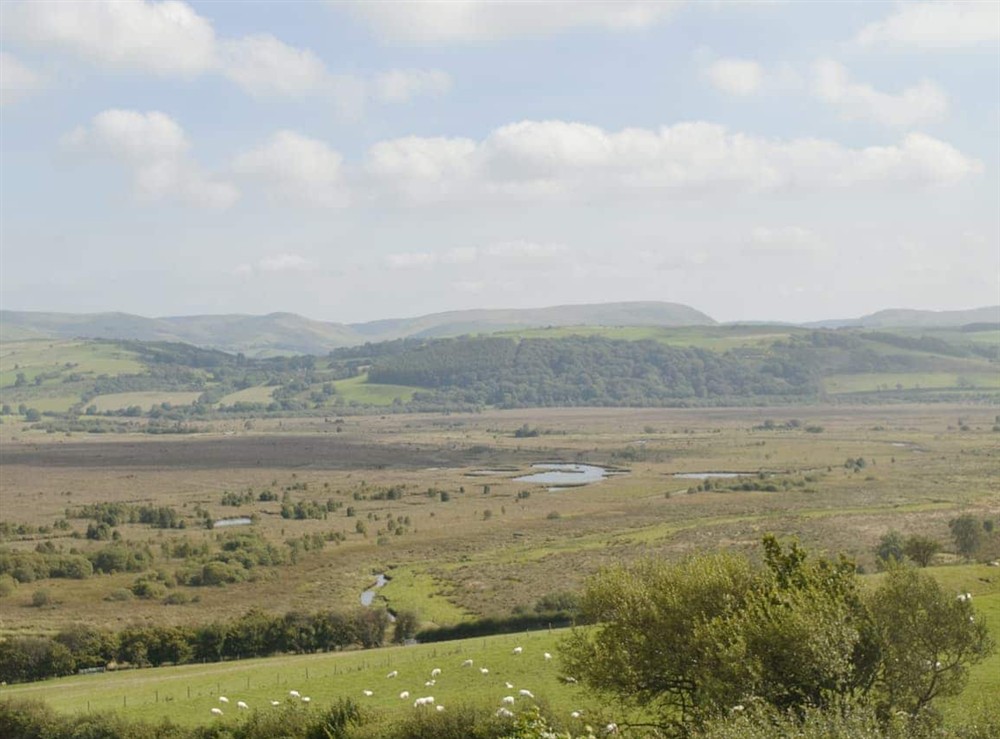 Cambrian Mountains