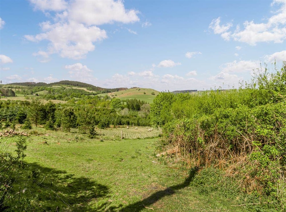 Surrounding area at 3 Legged Duck Cottage in Ystrad Muerig, Dyfed