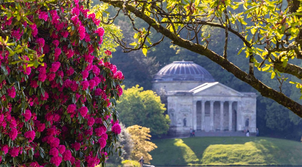 A flowering rhododendron with the Pantheon overlooking the lake in the background at 3 Lytes Cottage in Somerton, Somerset
