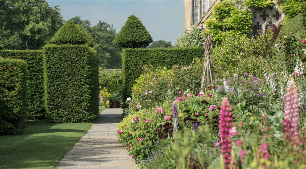 A path through part of the garden at 3 Lytes Cottage in Somerton, Somerset