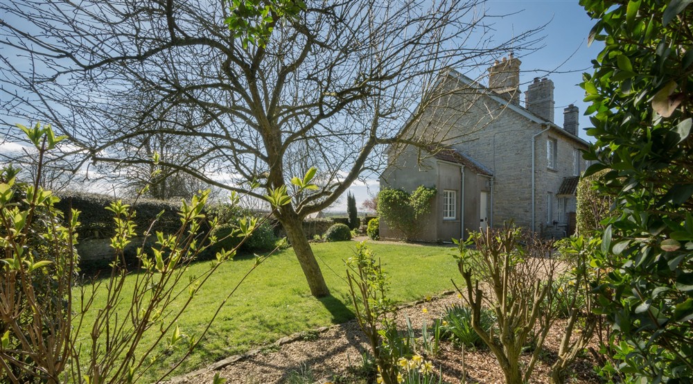 The enclosed garden with lawn and gravel path at 3 Lytes Cottage in Somerton, Somerset