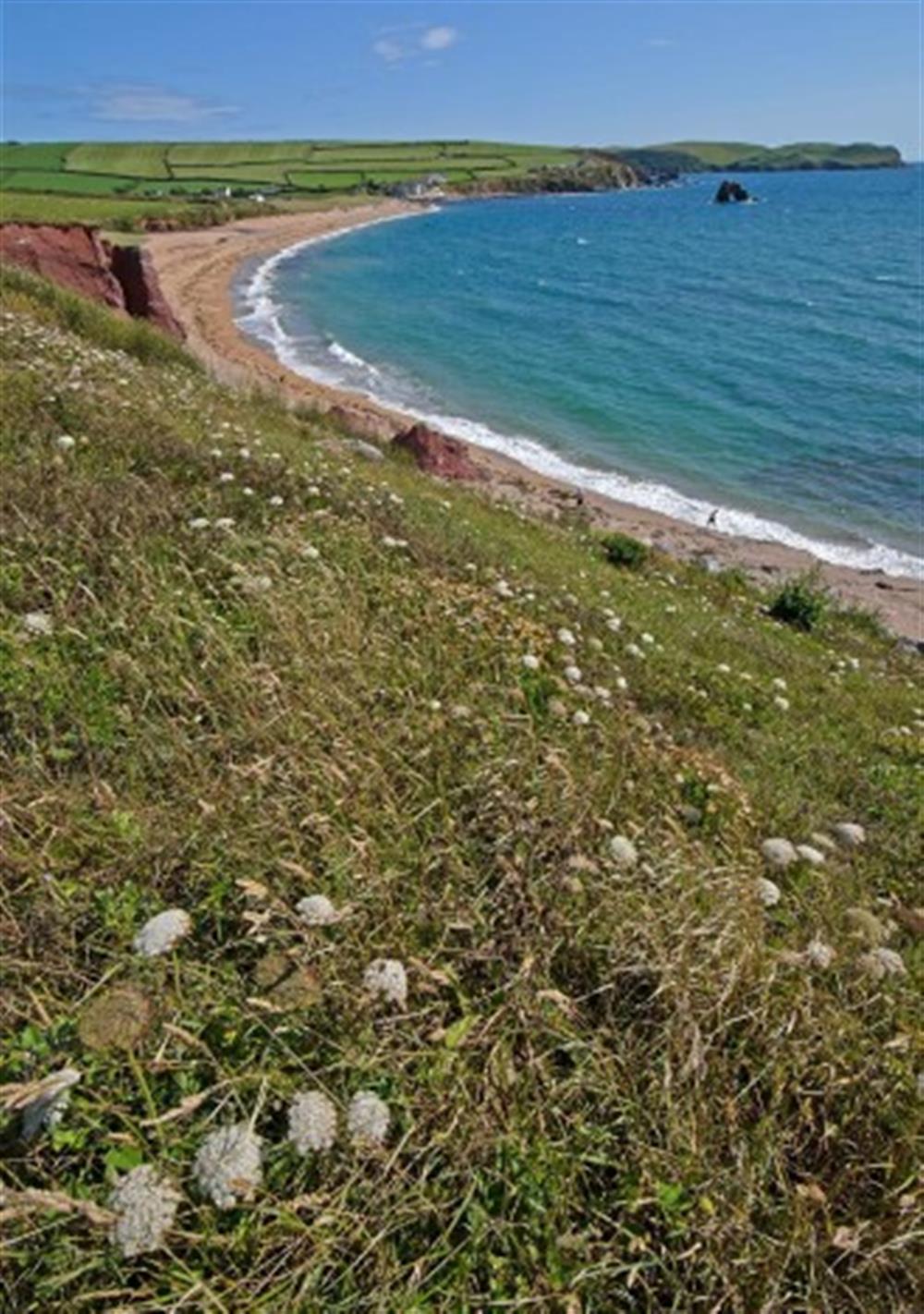 The South West Coastal Path near the apartment. at 3 Oceans Edge in Thurlestone